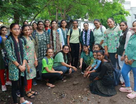 Tree Plantation